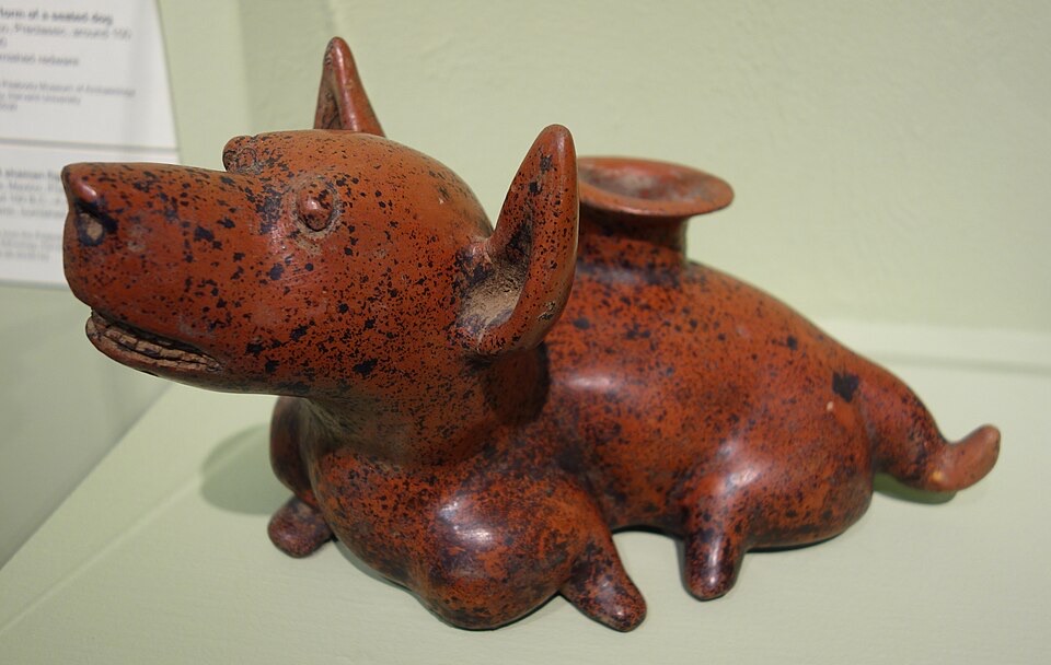 A reddish-brown ceramic vessel in the shape of a seated dog, its surface polished to a smooth, glossy sheen with no glaze