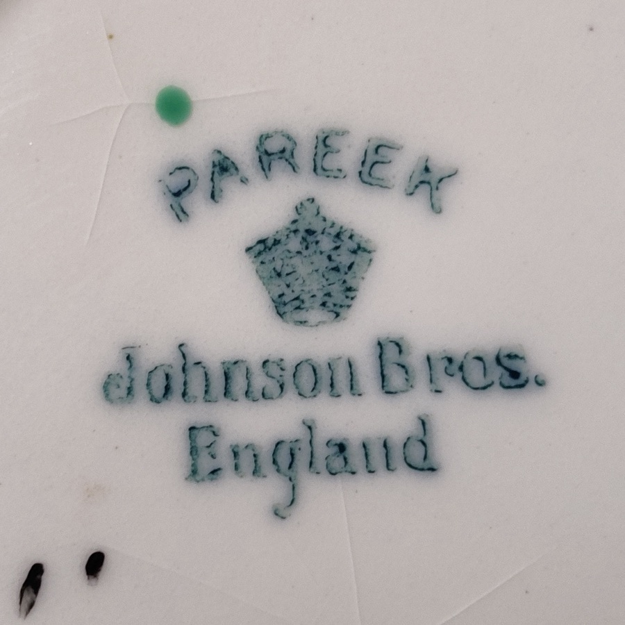 Close-up of a network of fine crazing cracks across the white glaze of a Johnson Brothers 'Pareek' dish