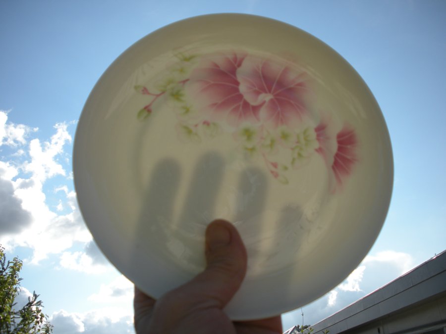 A thin porcelain plate held up to the sky, showing a hand's silhouette through the translucent body